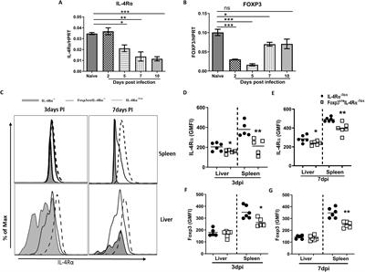 The divergent outcome of IL-4Rα signalling on Foxp3 T regulatory cells in listeriosis and tuberculosis